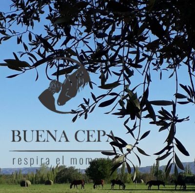 BUENA CEPA